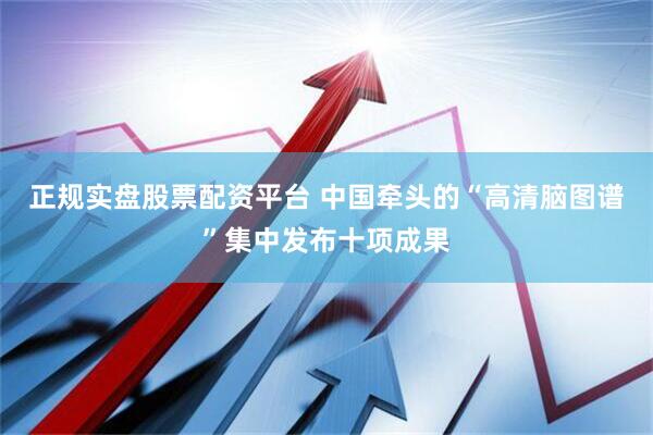 正规实盘股票配资平台 中国牵头的“高清脑图谱”集中发布十项成果