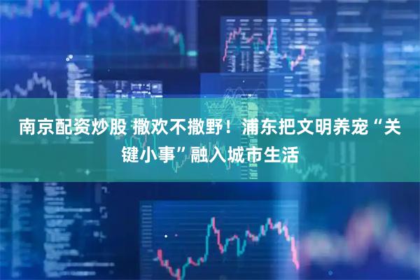 南京配资炒股 撒欢不撒野！浦东把文明养宠“关键小事”融入城市生活